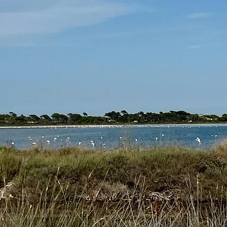 Apartman Casa Solis *